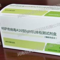 贝尔生物柯萨奇病毒A16型IgM抗体检测试剂盒(酶联免疫法)