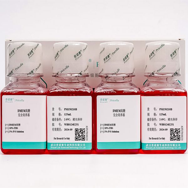 293 [HEK-293]Cell Complete Medium