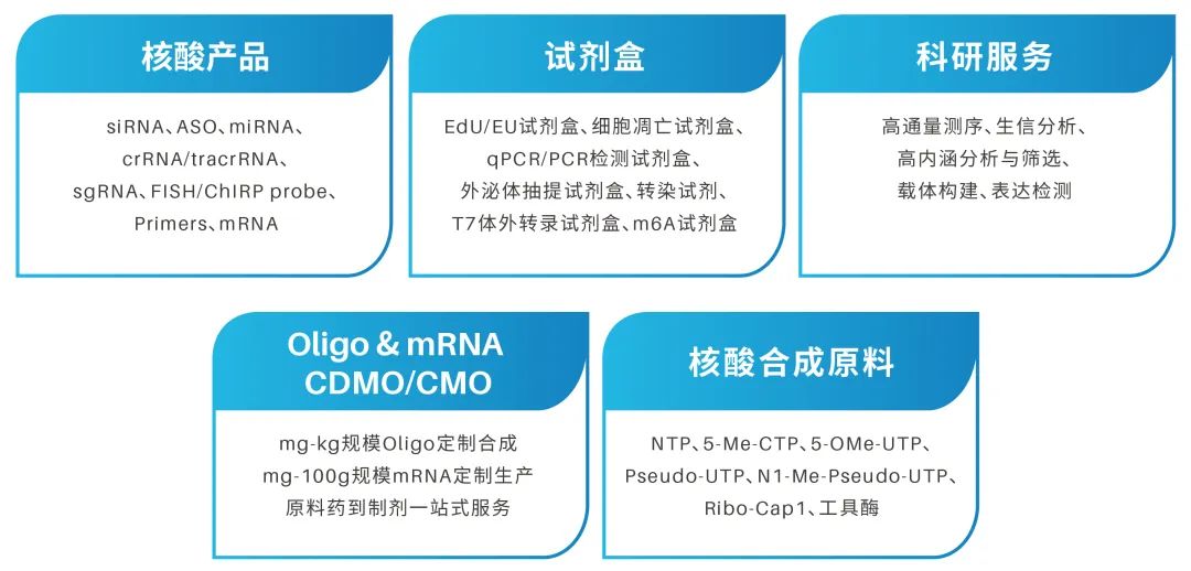 锐博生物：以“硬核实力”助力客户在关税变局中“乘风破浪”