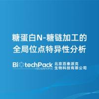 糖蛋白N-糖链加工的全局位点特异性分析