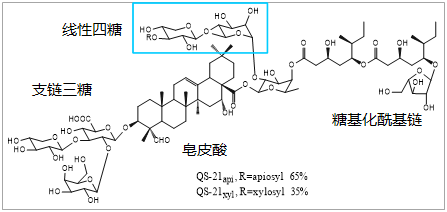 新闻图片6