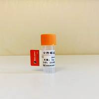 安普霉素单克隆抗体；安普霉素单抗（72B5细胞株）；安普霉素抗体；Apramycin（APM）抗体