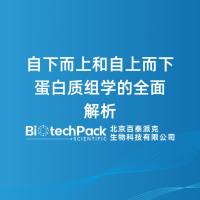 自下而上和自上而下蛋白质组学的全面解析