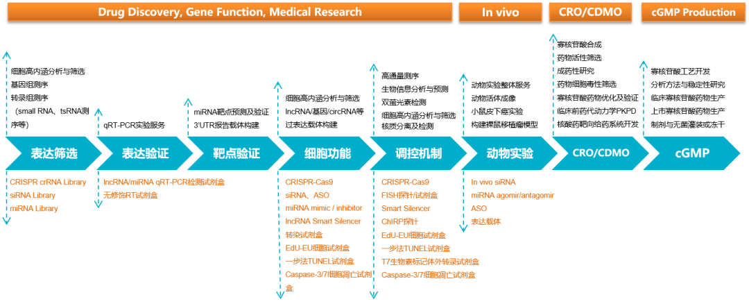 锐博生物：关税波动，国产替代正当时，全产业链打造“中国名片”