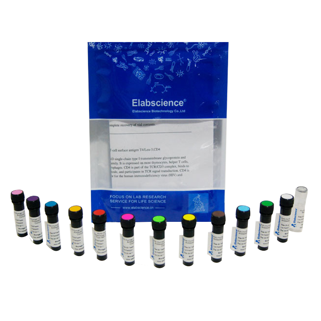 SARS-COV-2 NP ScFv 单克隆抗体(2019-nCoV)