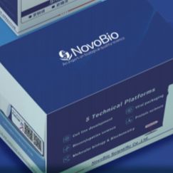 Human TARC/CCL17 ELISA KIT