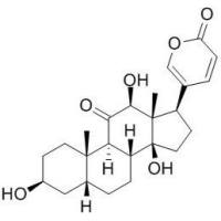 12β-伪异沙蟾毒精  对照品/标准品  bufarenogin（CAS:17008-65-0）