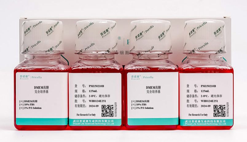 高分文献-DMEM高糖培养基专为快速增殖细胞设计