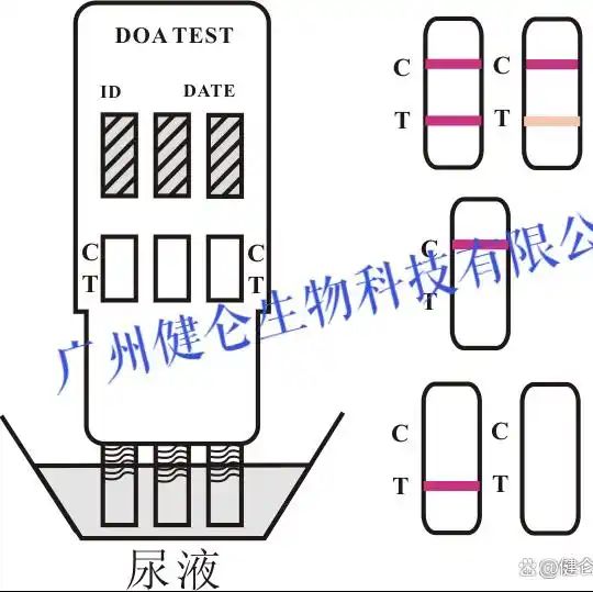 美国NOVABIOS药物滥用快速检测试剂盒(药筛三联卡)