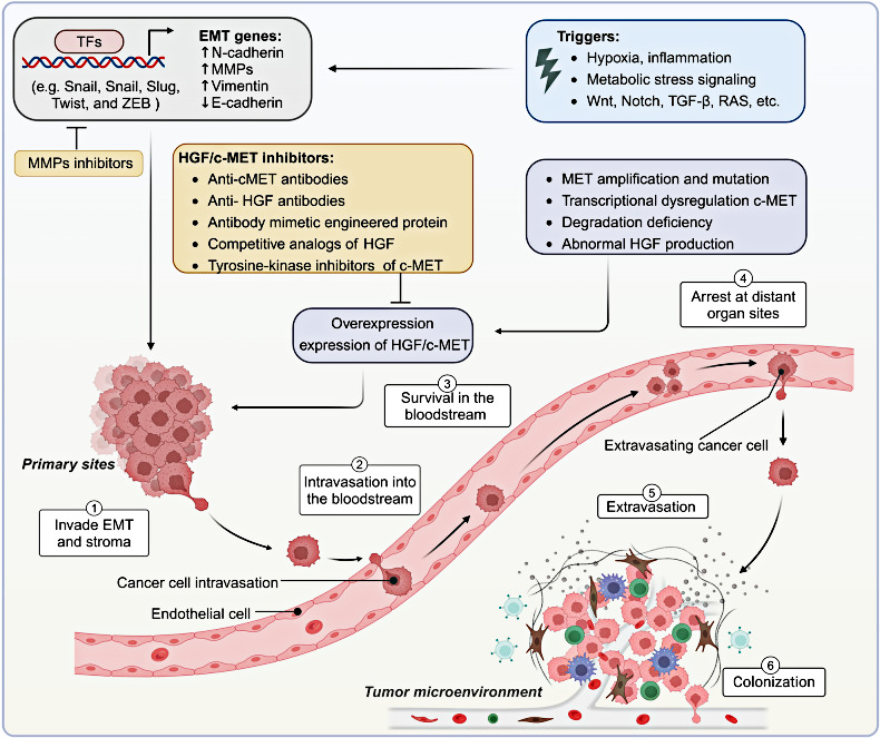 诊断原料讲堂之四：肿瘤生物标志物