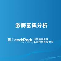 激酶富集分析