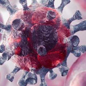 幽门螺杆菌 IgM ELISA 检测 96 孔