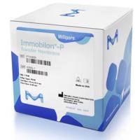 IPVH85R密理博转印膜卷8.5cmx10m 0.45µm疏水性微孔膜Millipore