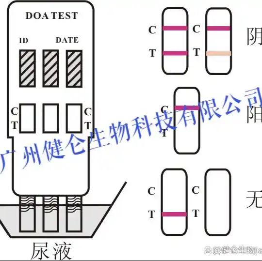 BAR药物滥用检测试剂盒(测药物残留)