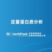 定量蛋白质分析