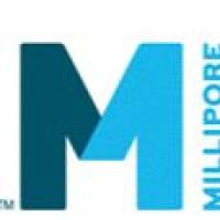 Immobilon® -PSQ PVDF Membrane