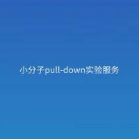 小分子pull-down实验服务