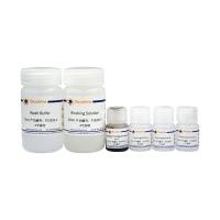 BeyoMag™ NHS磁珠偶联试剂盒(1μm)