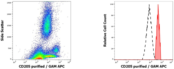 抗人CD205纯化抗体：促销优惠享不停
