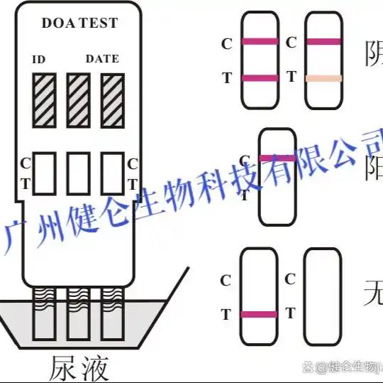 N IN 1药物滥用检测试纸药筛多联卡(胶体金法)