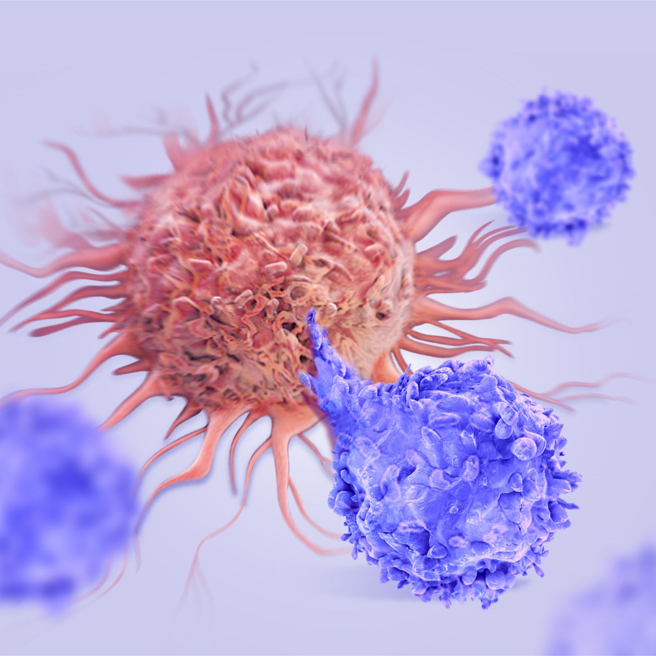 Human Claudin 4 Protein-VLP