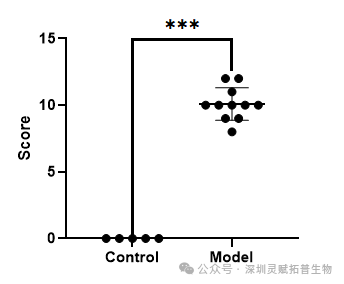 新闻图片3