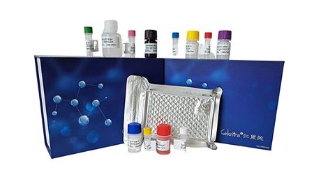 上海机纯生物五一劳动节放假通知如下