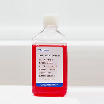 AMMS®HEK293无血清培养基
