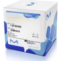 IPFL85R密理博转印膜卷8.5cmx10m 0.45µm蛋白质印迹分析Millipore