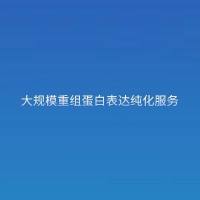 大规模重组蛋白表达纯化服务