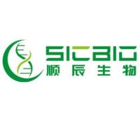 10%SDS溶液