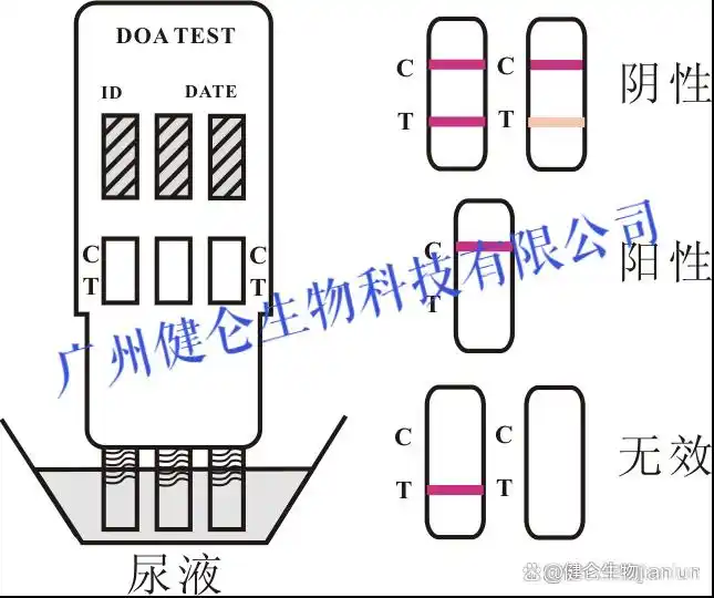 THC滥用药成分快速检测试纸