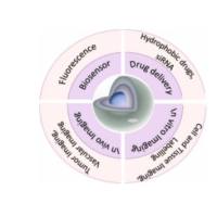 CdSe量子点表面包覆ZnS壳层  CdSe@ZnS
