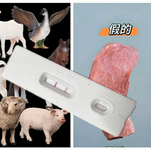 年度新品 鸡/鸭/鹅肉制品快速检测试剂盒