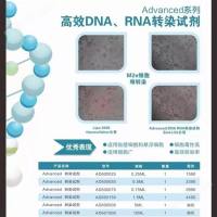 小鼠骨髓树突状细胞转染试剂