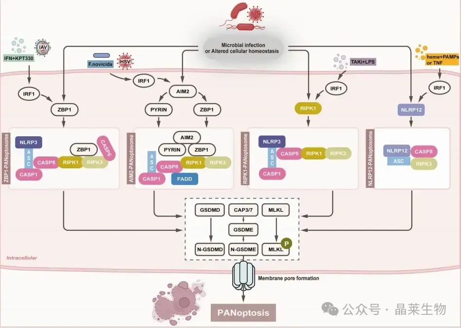 640_wx_fmt=other&from=appmsg (1).jpg