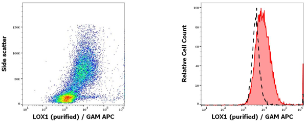 抗人LOX1纯化抗体：超多优惠等你抢！