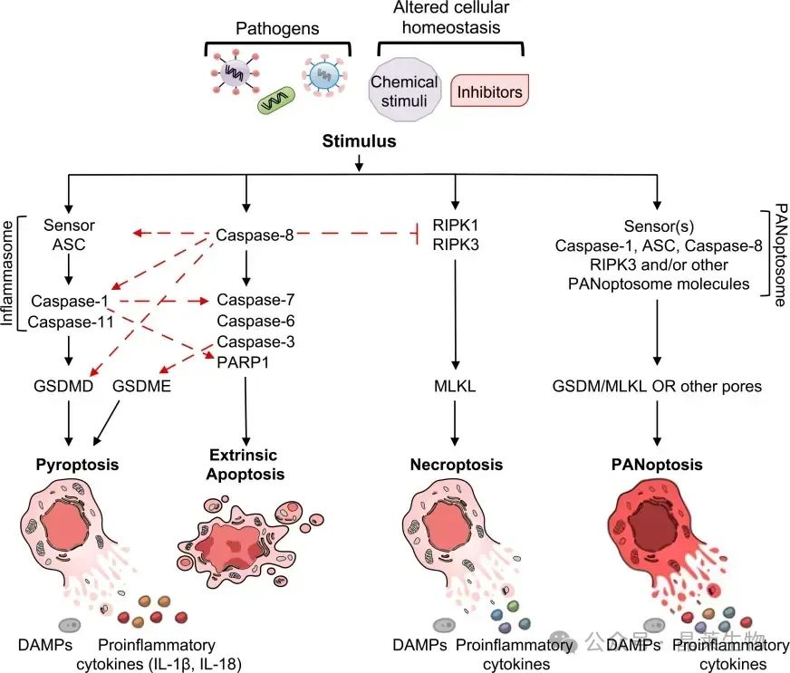 640_wx_fmt=other&from=appmsg (2).jpg