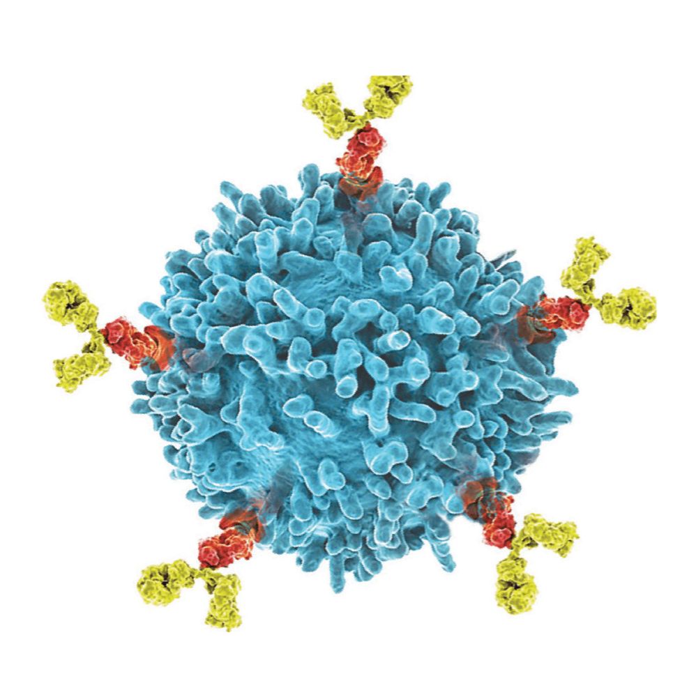 Panitumumab 生物类似药, 人 EGFR/ErbB-1/HER1 单克隆抗体