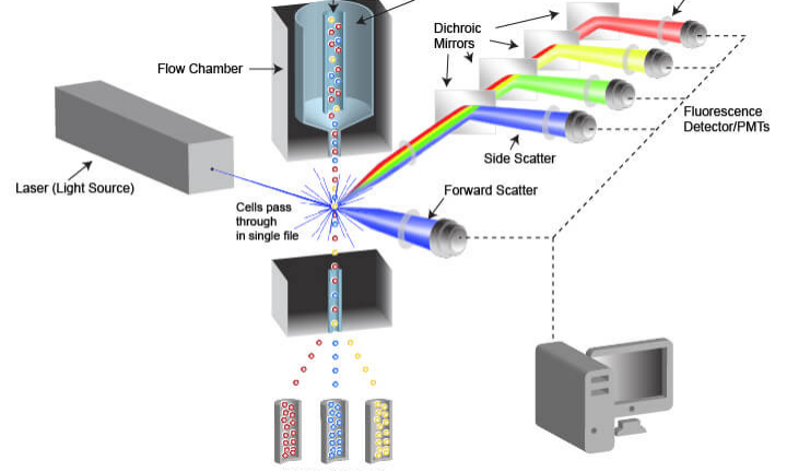 重磅干货！一文轻松看懂流式结果图
