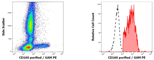 抗人CD160纯化抗体，超多优惠别错过！