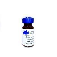 ALP标记F（ab）’2片段化驴抗小鼠IgG二抗（经牛、鸡、山羊、豚鼠、仓鼠、马、人、兔、大鼠/绵羊IgG吸附）