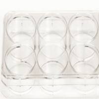 6孔细胞培养板，平底，带盖