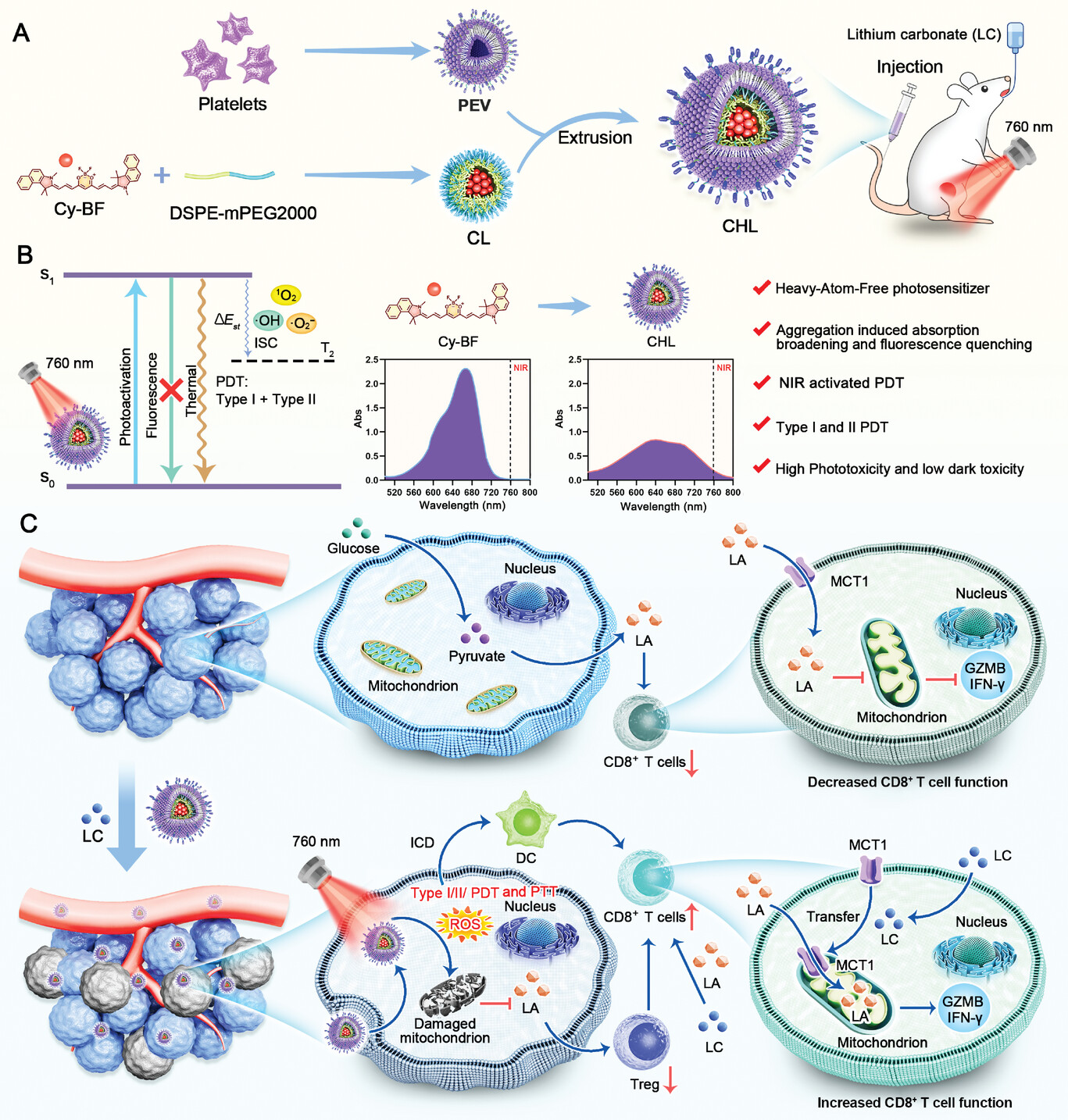 外泌体技术服务