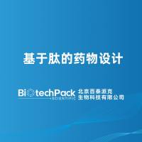 基于肽的药物设计