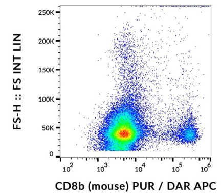 抗小鼠CD8b纯化抗体：促销好时机，享实惠！
