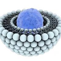 脂质体包裹法舒地尔 Fasudil@lipsome