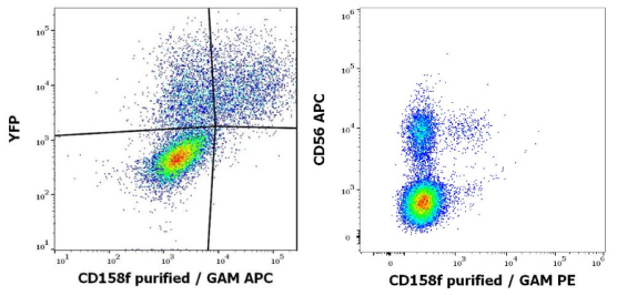 抗人CD158f纯化抗体：开启低价盛宴！