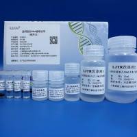 通用型总RNA小量提取试剂（磁珠法）