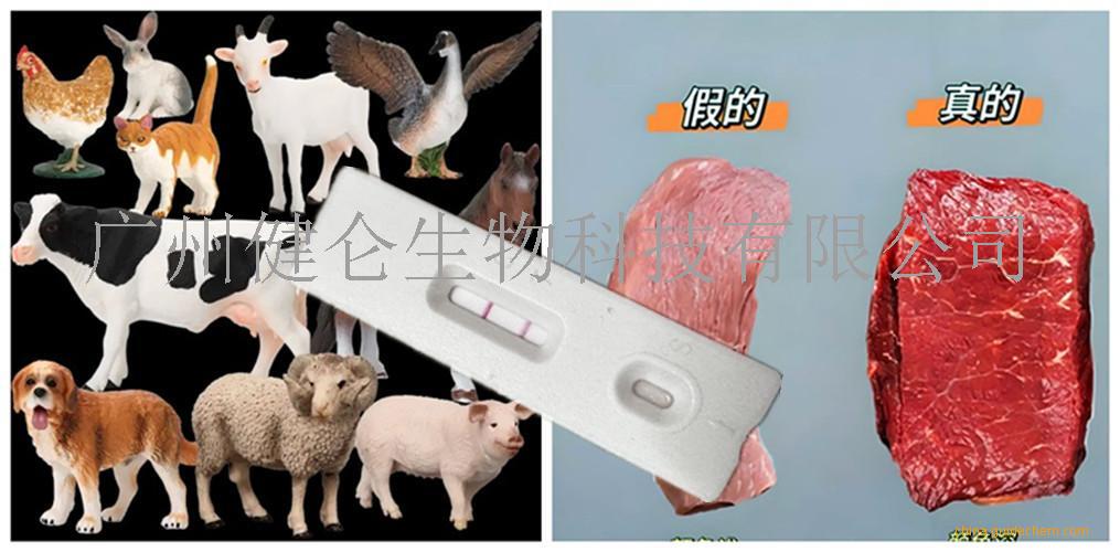 新品快检卡猪牛羊源性成分检测试剂盒(肉制品检测卡)